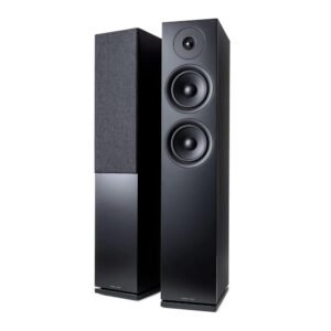 FORUS 55 PASSIVE FLOORSTANDING SPEAKERS (PAIR)