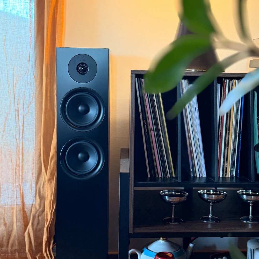 FORUS 55 PASSIVE FLOORSTANDING SPEAKERS (PAIR) - Image 4